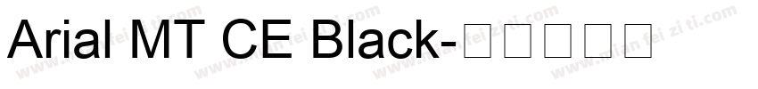 Arial MT CE Black字体转换